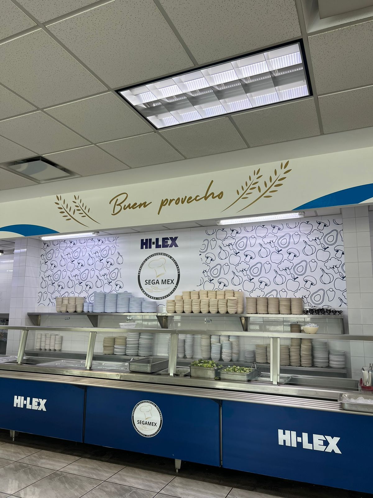 Galería SEGAMEX